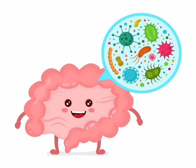 Archivo - Microbiota, microbioma, flora intestinal, bacterias intestino, microorganismos