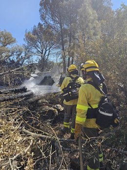 Bomberos forestales trabajan en el remate y liquidación del incendio en la Sierra de Andújar.