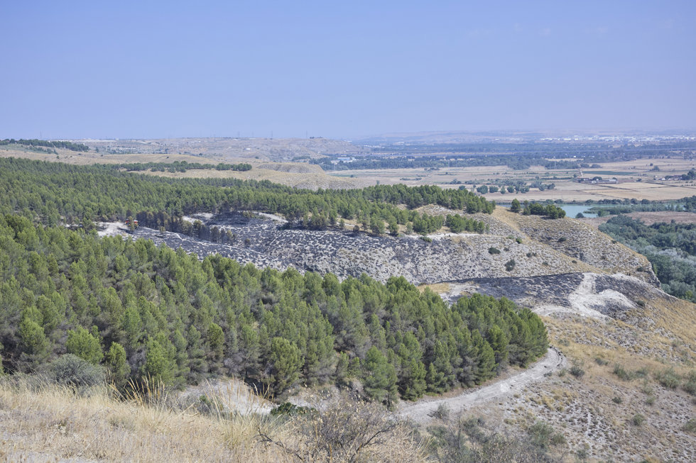 Zona afectada por el incendio, a 21 de agosto de 2024, en Rivas-Vaciamadrid, Madrid (España).