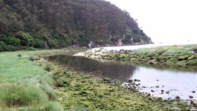 Playa de La Franca.