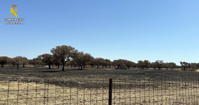 Punto de incendio en municipio pacense