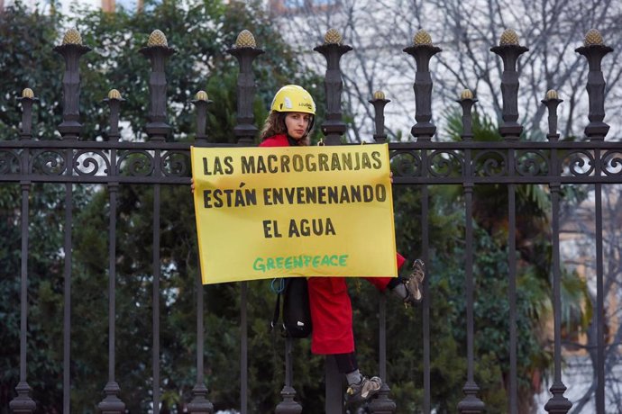 Archivo - Una mujer miembro de la organización ecologista Greenpeace con un cartel contra la instalación de macrogranjas.