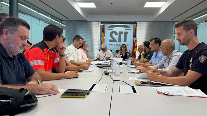 El Pleno de la Comisión de Emergencias y Protección de Baleares