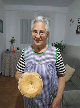 La Guardia Civil participa en la búsqueda de una mujer fugada de una residencia de Cañada del Hoyo