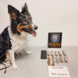 Kai, el perro policía de Las Palmas de Gran Canaria con la droga incautada tras olfatear al hombre que las portaba