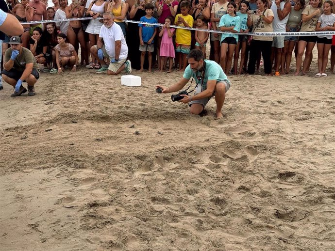 Imagen de uno de los ejemplares a punto de ser devuelto al mar