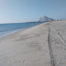 Una playa de La Línea limpia tras finalizarse los trabajos para retirar las algas acumuladas.