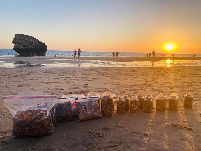 Parte de los residuos recogidos en la playa de Matalascañas, que incluye 6.000 colillas.