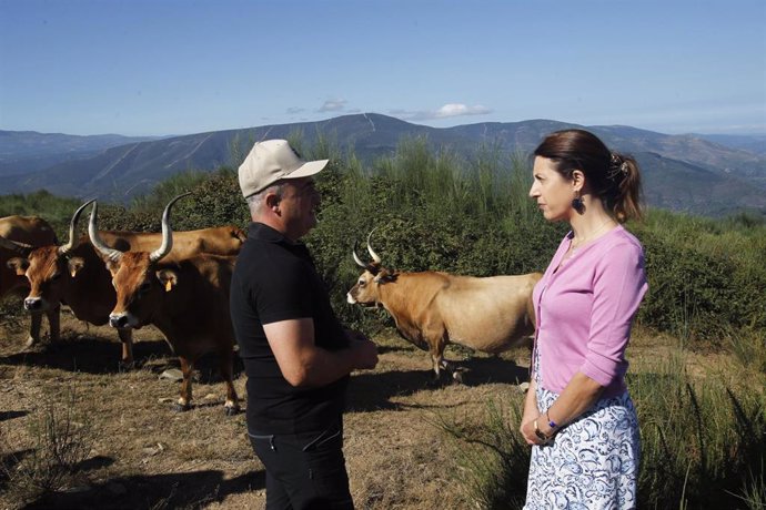 La conselleira de Medio Rural, María José Gómez, visita una explotación de vacuno de carne en Quiroga (Lugo)