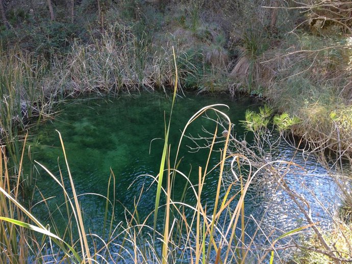 Poza de las Tortugas en Moratalla, en el barranco de Hondares, donde la asociación Descubriendo Moratalla llevará a cabo el censo de la fauna.