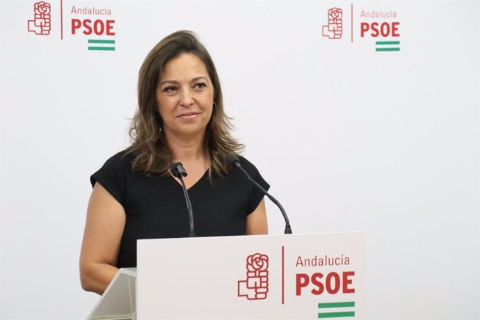 La portavoz adjunta del Grupo Socialista Isabel Ambrosio.