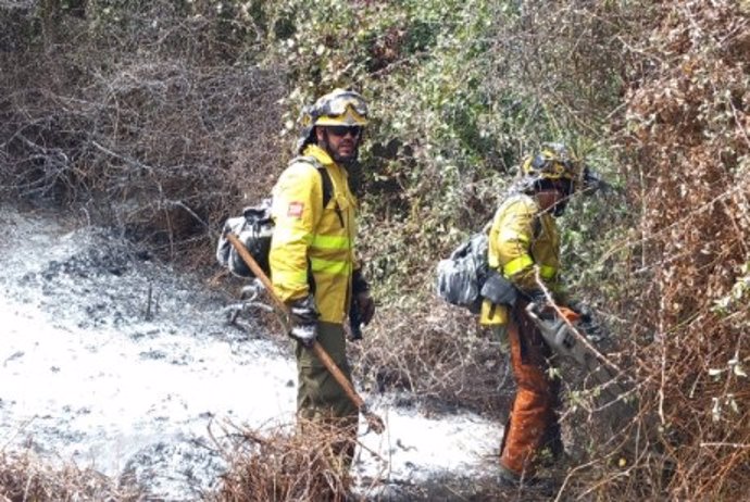 El Plan Infoca trabaja para sofocar el fuego en el incendio forestal declarado en Algeciras (Cádiz).