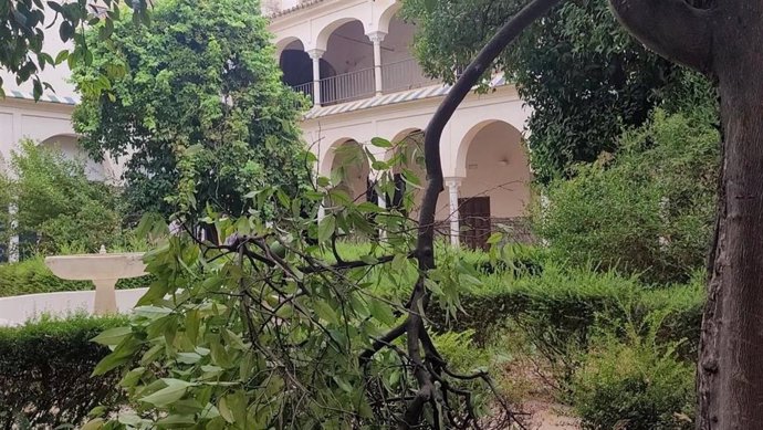 Estado que presenta uno de los patios del Espacio Santa Clara, en Sevilla.