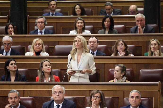 Archivo - La diputada del PP Cayetana Álvarez de Toledo interviene durante una sesión de control al Gobierno, en el Congreso de los Diputados, a 24 de abril de 2024, en Madrid (España).