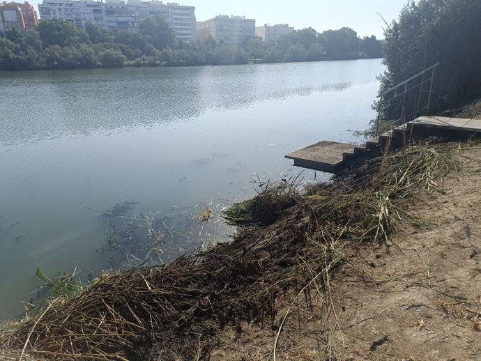 Estado en el que ha quedado la ribera del Paseo de la O, en Triana, tras el incendio de vegetación.