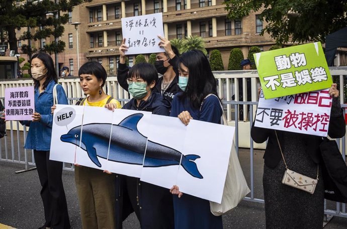 Archivo - Manifestación contra las exhibiciones con delfines en Taipei