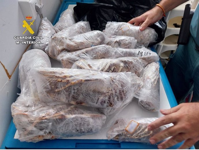 La Guardia Civil interviene 35 kilos de producto pesquero ilegal en un restaurante de Santa Pola (Alicante).