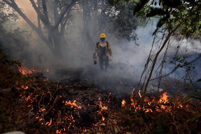 Archivo - Incendios en la región del Pantanal, correspondiente a Brasil.