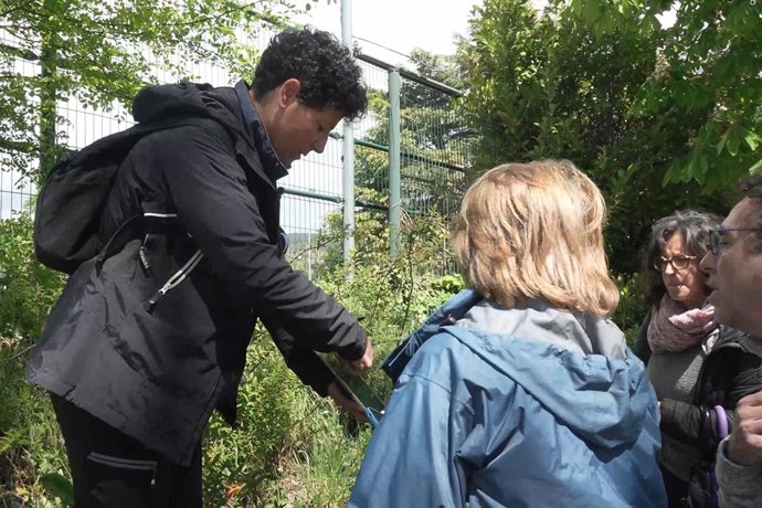 Las riberas de los ríos de Pamplona albergan 17 especies de flora exótica con potencial invasor.