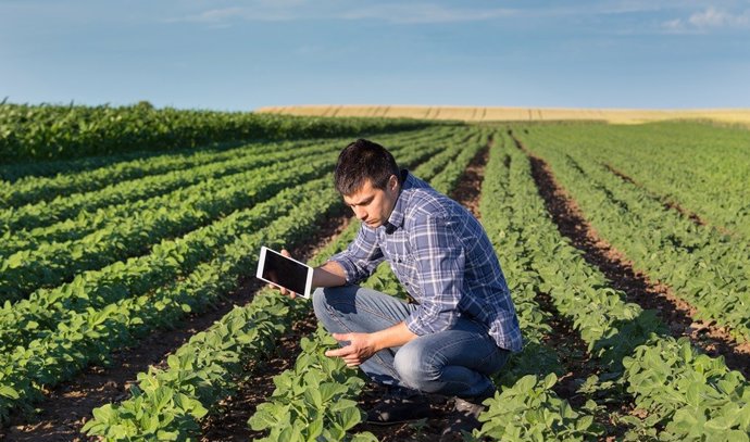 Archivo - Joven agricultor.