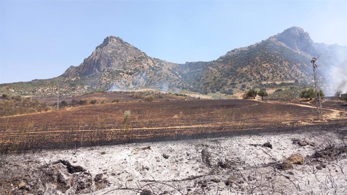 Incendio forestal que se declaró este pasado domingo en el cortijo de la Velasca, en el término municipal de El Gastor (Cádiz)