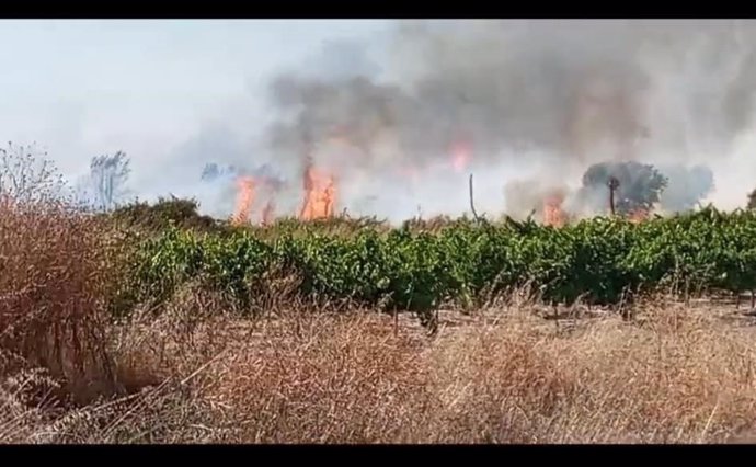 Imagen de uno de los incendios en el paraje Montañiña-El Perú de Bollullos Par del Condado (Huelva).