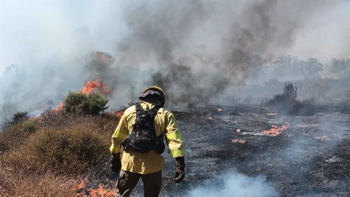 Bombero forestal del Plan Infoca trabaja en un incendio.