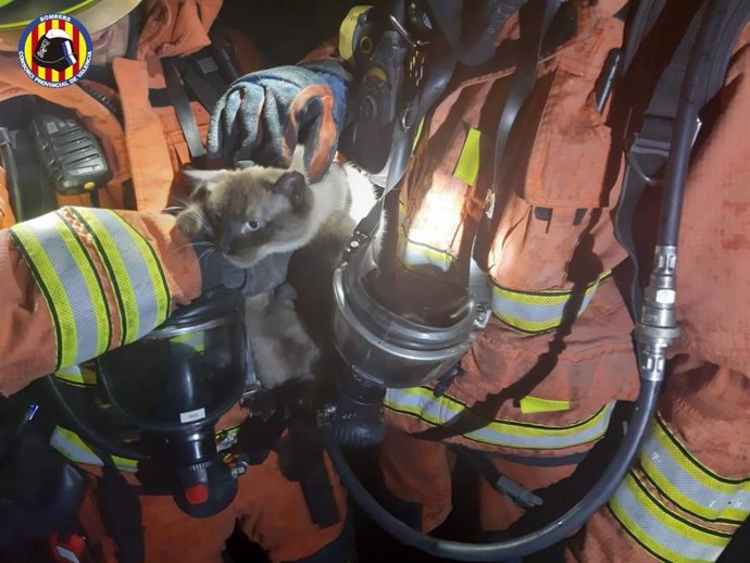 Rescatan a un gato en el incendio de una vivienda en Utiel