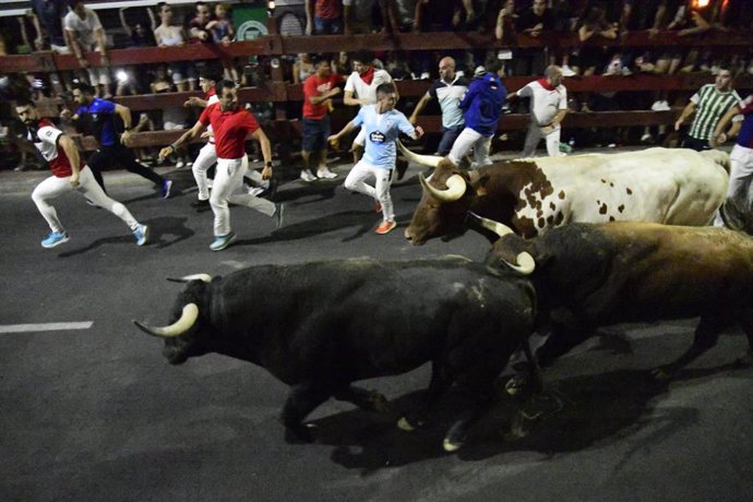 El segundo encierro de las fiestas de 'Sanse', el nocturno, ha dejado 9 heridos por contusiones leves.