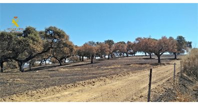 Extremadura