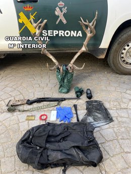 Cabeza de ciervo, rifle y otros objetos intervenidos por la Guardia Civil.