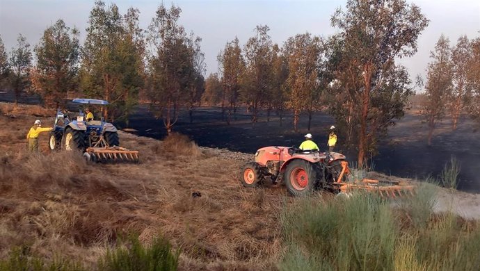 Operario del Ayuntamiento de Boanres (Huelva) colaborando con los efectivos del Infoca en uno de los parajes que han ardido.