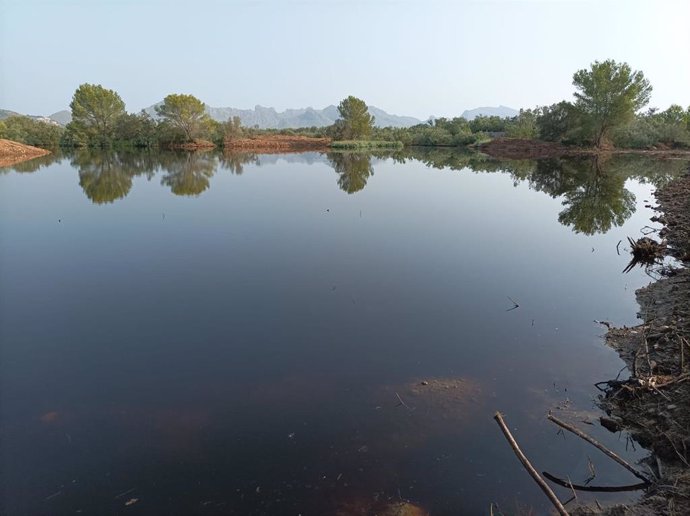 Laguna de Can Cuirassa.