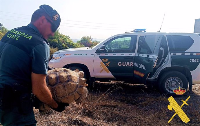 La Guardia Civil rescatando a la 'tortuga culcata'.