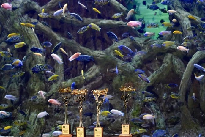 Imagen de los Premios de Responsabilidad Social Empresarial y Sostenibilidad