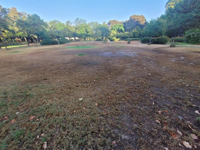 Así luce el parque de Los Príncipes