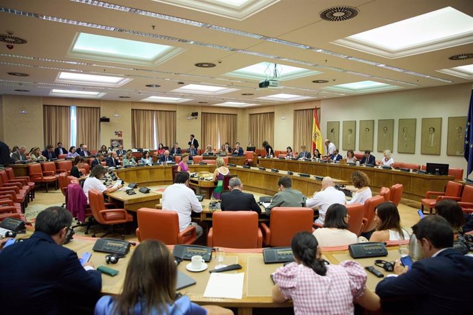 Vista de la Diputación Permanente en el Congreso de los Diputados