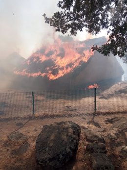 Imagen del castro vetón de El Raso (Ávila) afectado por las llamas