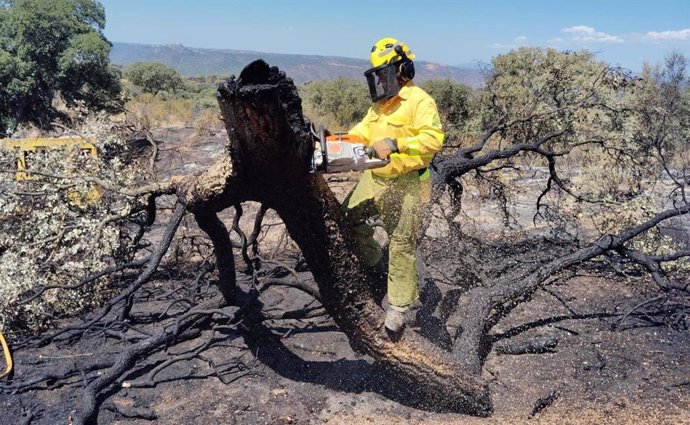 Un efectivo del Plan Infoca trabaja en las labores de remate y liquidación del incendio de la Sierra de Andújar.