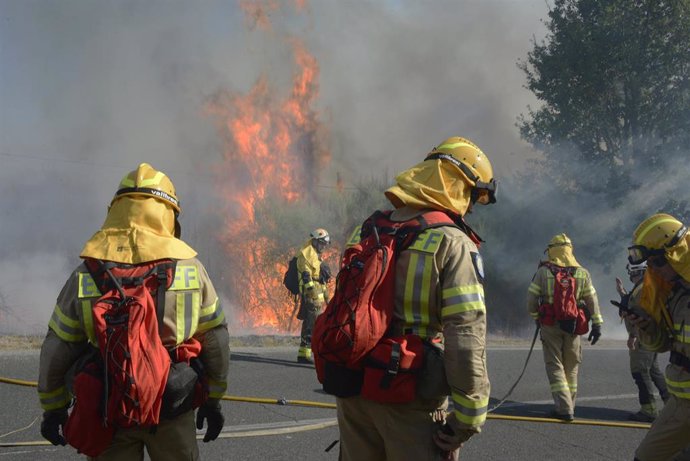 Varios bomberos tratan de apagar el fuego durante el incendio forestal en la parroquia de Oseira, a 20 de agosto de 2024, en San Cristovo de Cea, Ourense