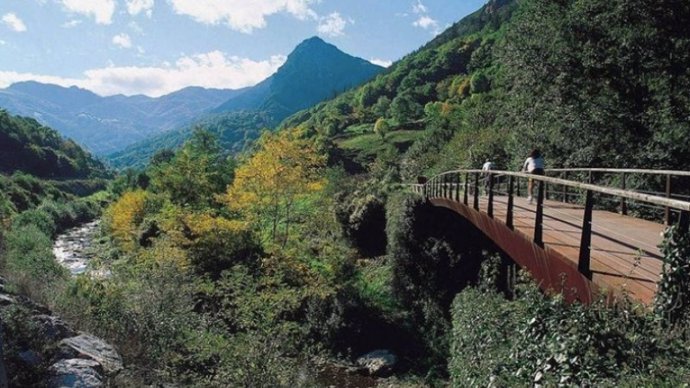 La Senda del Oso: un viaje por la naturaleza salvaje de Asturias