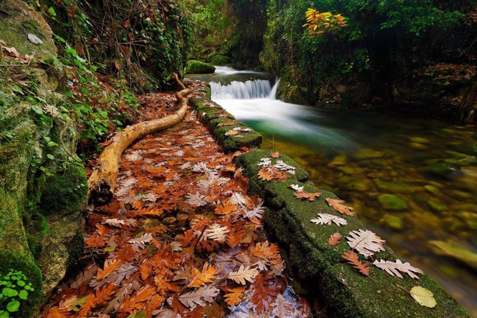 Un paraje del Valle del Ambroz durante el otoño.