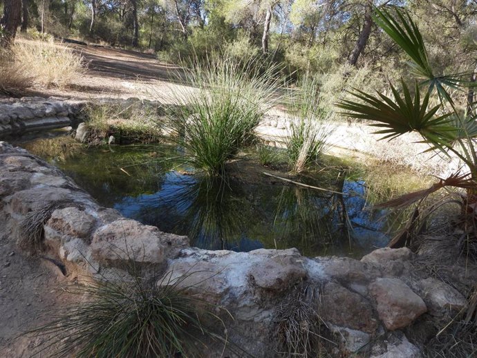 Chascas y láminas de agua en el Parque Regional de Carrascoy y El Valle.