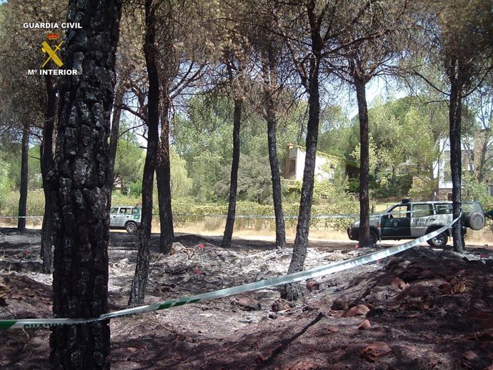 Imagen de uno de los incendios presuntamente provocados en el paraje de Bollullos Par del Condado (Huelva).