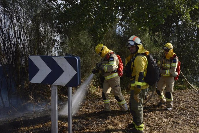 Varios bomberos tratan de apagar el fuego durante el incendio forestal en la parroquia de Oseira, a 20 de agosto de 2024, en San Cristovo de Cea, Ourense