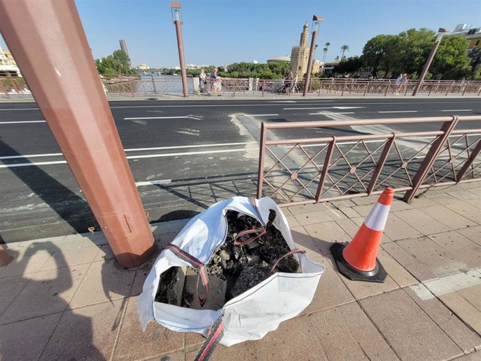 Imagen de trabajos esta jornada en el puente de San Telmo