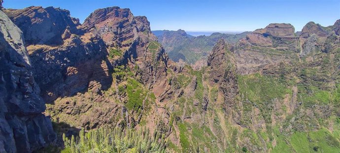 Hábitat de nidificación del petrel freira en la isla de Madeira.