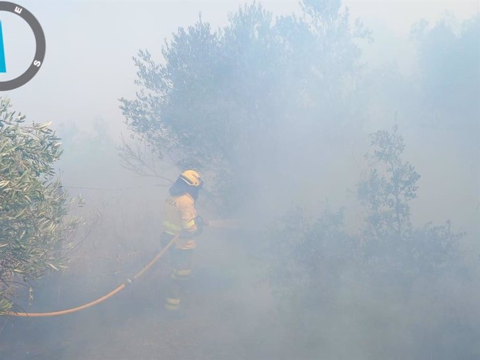 Imagen del incendio de Alanís