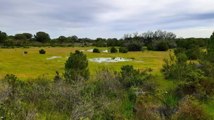 Imagen de la laguna Navazo del Toro en la actualidad.