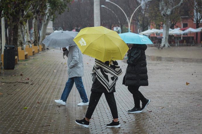 Archivo - Tres personas se protegen de la lluvia con paraguas. A 9 de febrero de 2024, en Sevilla (Andalucía, España). La borrasca 'Karlotta' activa avisos por lluvia, viento y oleaje en todas las provincias andaluzas.